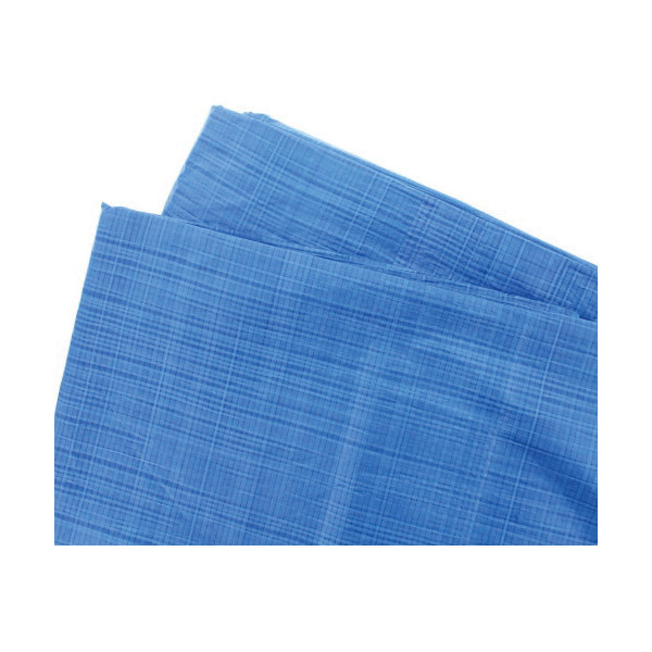GAM V2040 Light-Duty Tarp, 20 ft L, 40 ft W, 1 mil Thick, Polyethylene, Blue
