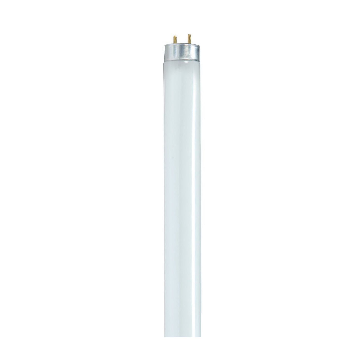 Satco S8405 Fluorescent Bulb, 17 W, T8 Lamp, G13 Medium Bi-Pin Lamp Base, 1450 Lumens, 3500 K Color Temp