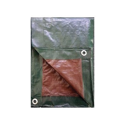 Master Tradesman KT-MT2030GB Tarp, 20 ft L, 30 ft W, Polyethylene ...