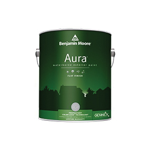 Benjamin Moore 629-1X-1G
