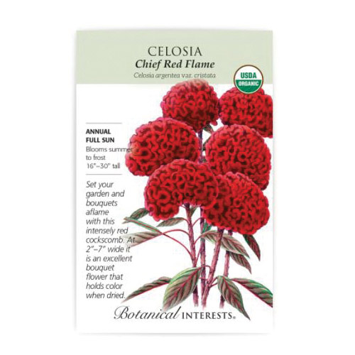 Botanical Interests 2000 Organic Celosia Seed, Celosia Argentea Var Cristata, Summer to Fall Bloom, Chief Red Bloom