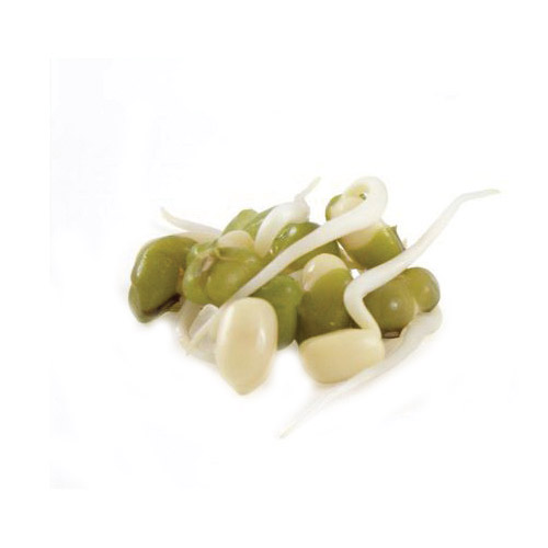 Botanical Interests 7800 Sprout Seed, Mung Bean, Vigna Radiata Var. Radiata, 60 g