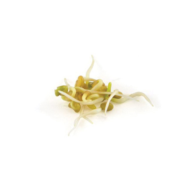 Botanical Interests 7805 Sprout Seed, Fenugreek, Trigonella Foenum-Graecum, 20 g