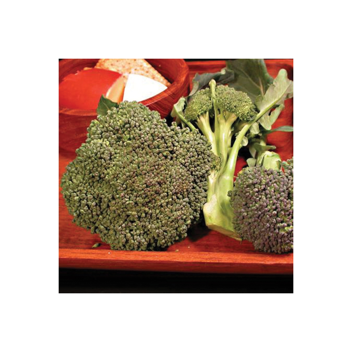 Vegetable Seed, Territorial Seed, Umpqua Broccoli, Brassica Oleracea, April to June Planting - 2