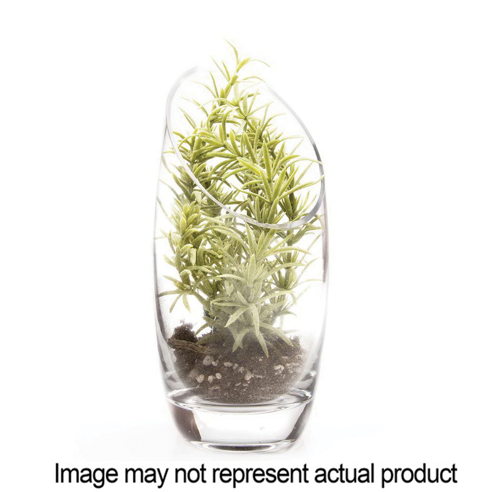 Chive TERRBT