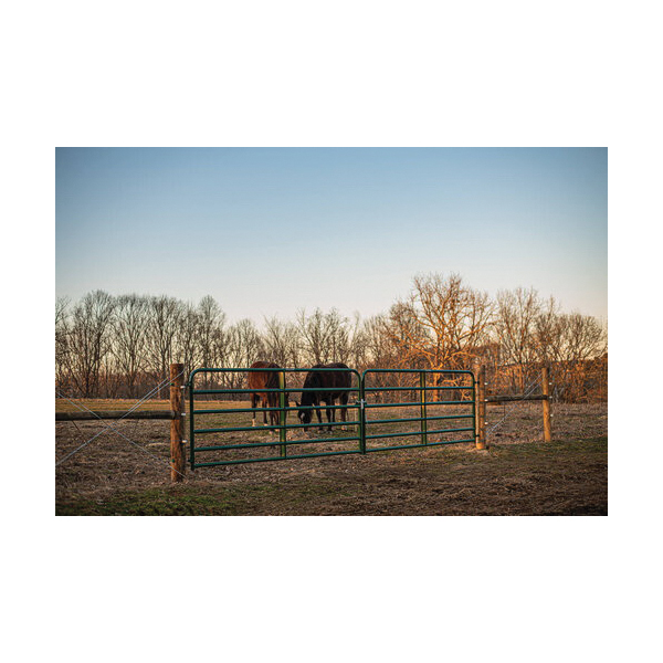 HD Bull Gate, Tarter, 52 in x 6 ft, Green - 2