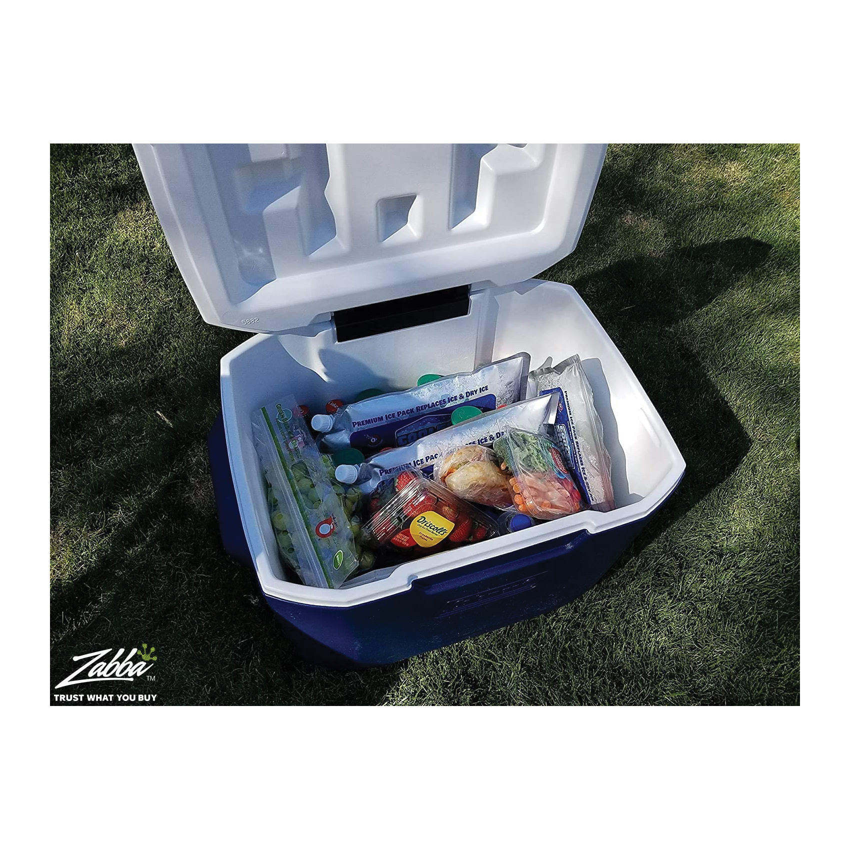 Cooler Shock 4PKMIDSIZECOOLERSHOCKDRY Reusable Ice Pack