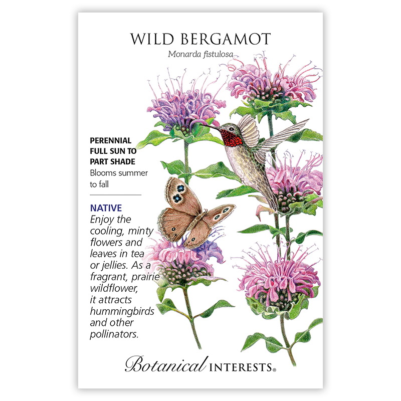 Botanical Interests 5002 Wild Bergamot Seed, Monarda Fistulosa, Blooms Summer to Fall Harvest, 100 g