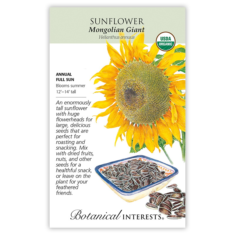 Botanical Interests 7504 Mongolian Giant Sunflower Seed, Sunflower, Helianthus Annuus, Summer Bloom, Yellow Bloom, 12 g