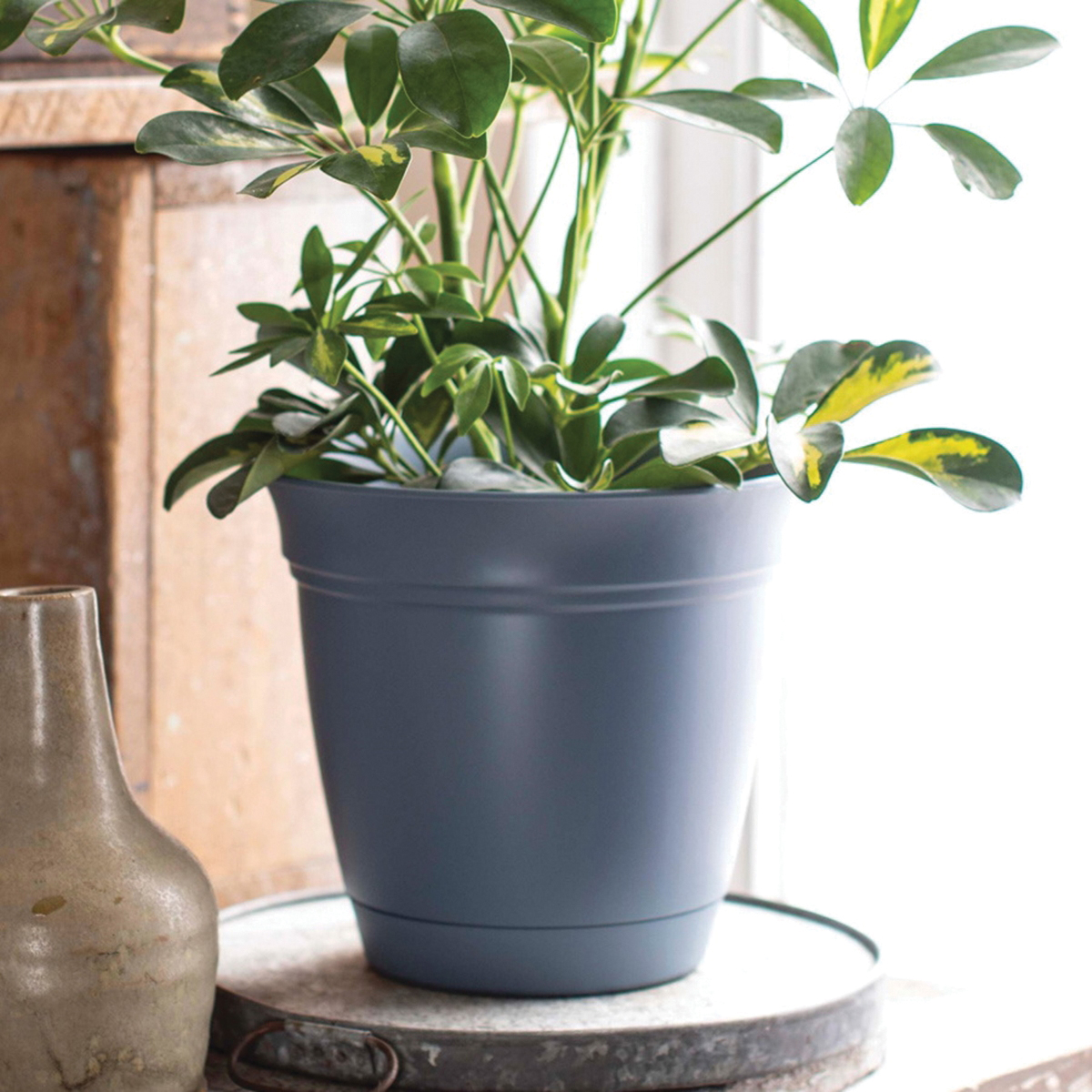 Plastic Pot with Attached Saucer, Hc Companies, 12 in Dia, 10-1/2 in H, Round, Warm Gray - 2