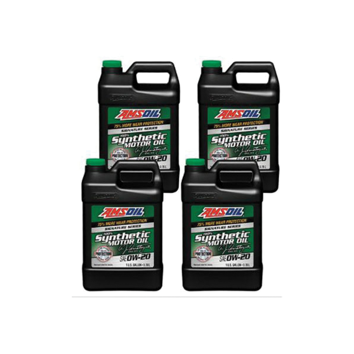 Amsoil ASM1G-CA