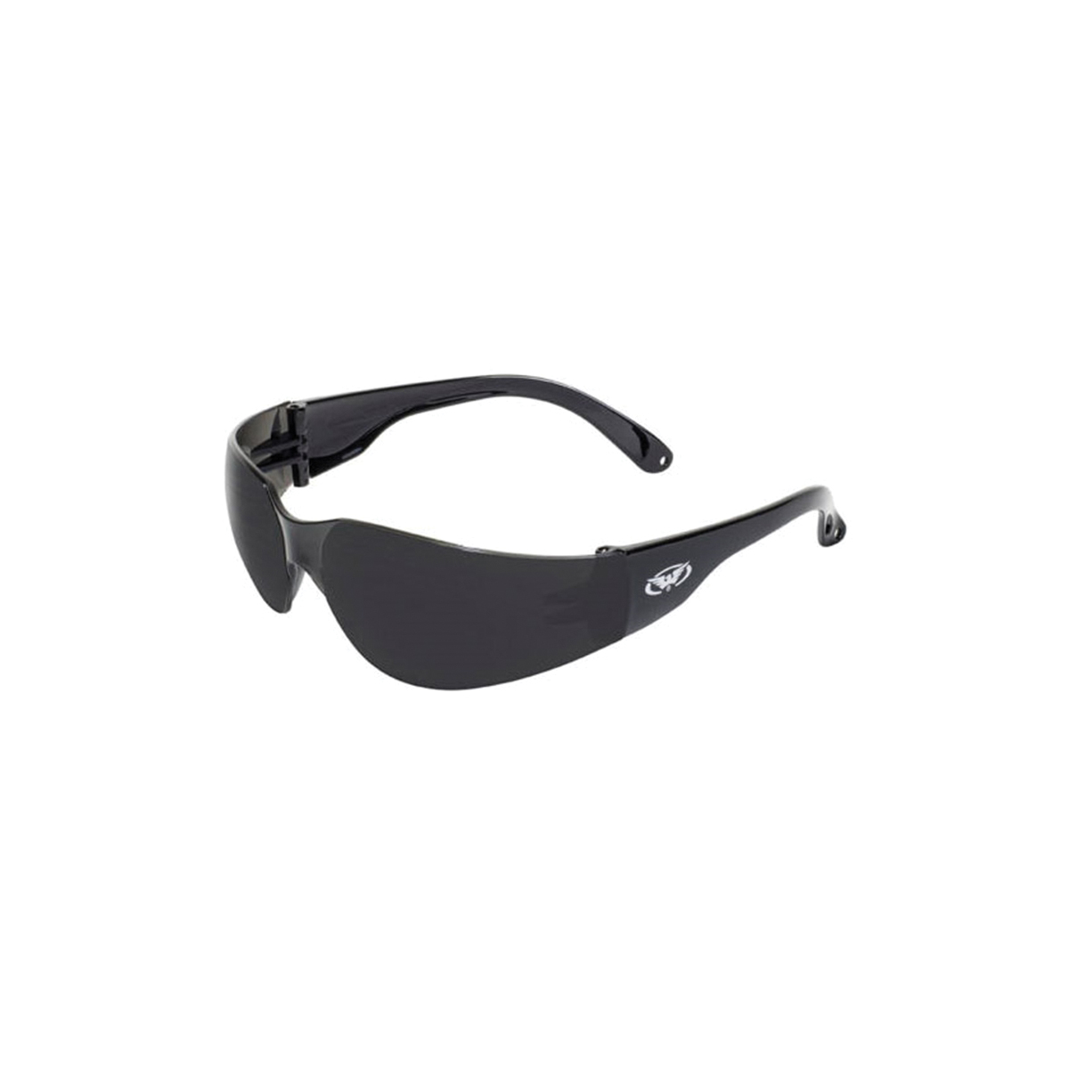 Global Vision RIDERSD