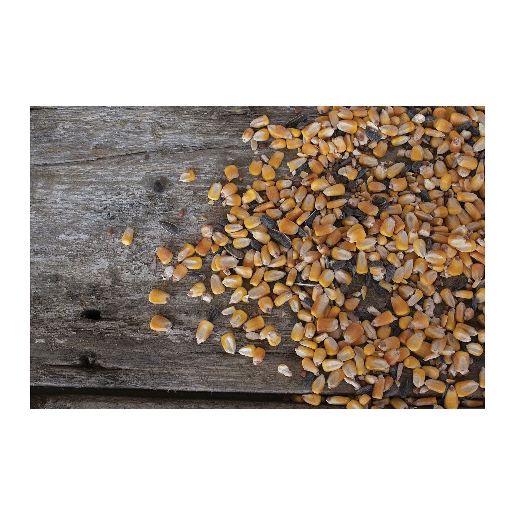 BIG TInE BT40 Fortified Deer Blend, Cherry Rush, 40 lb