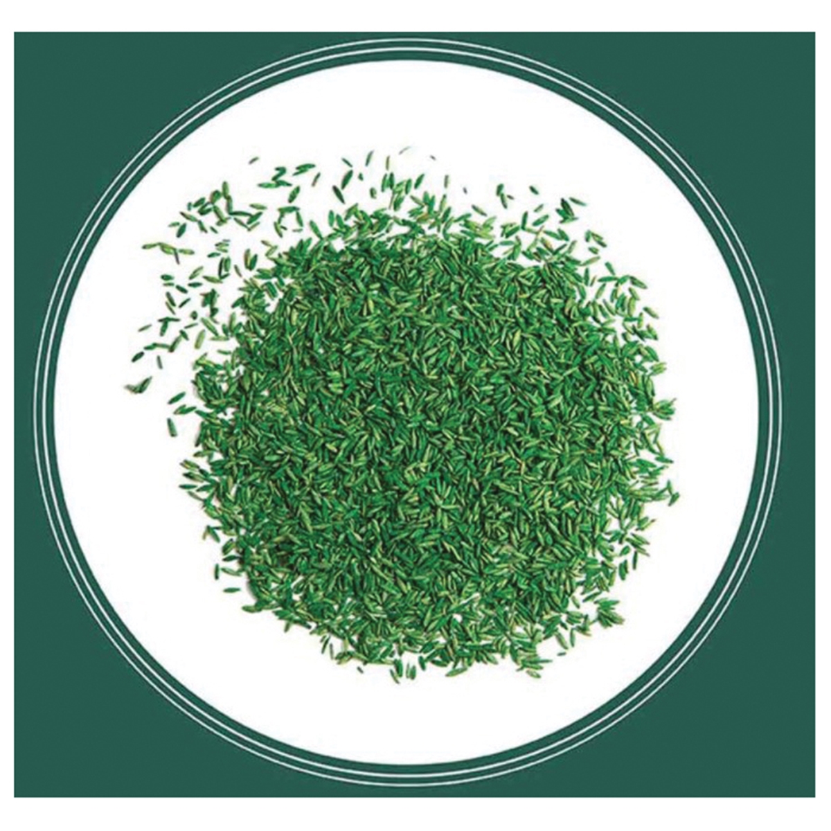 Pennington 100543720 Grass Seed, 20 lb Bag, 6660 sq-ft Coverage Area, Sun and Shade - 3