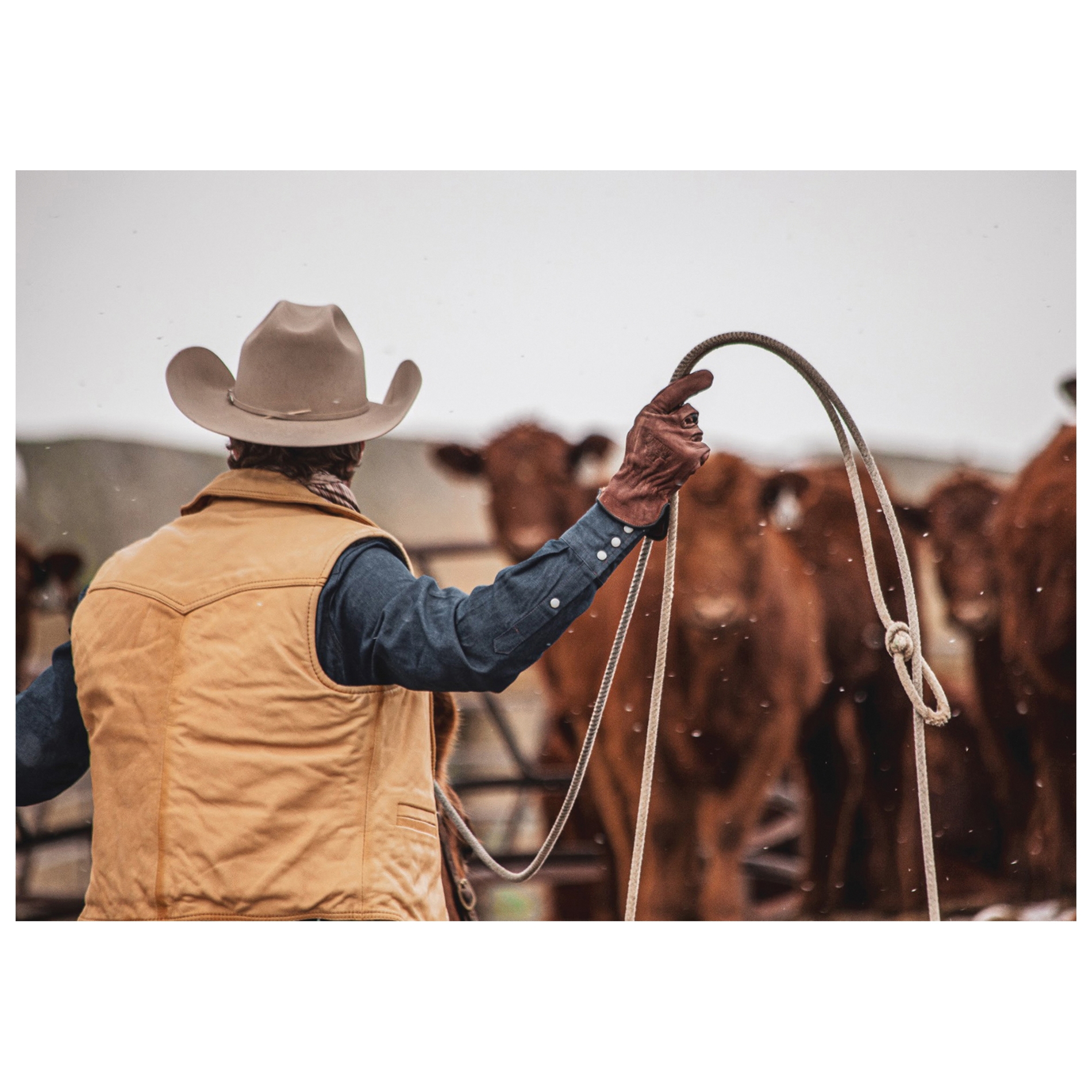 Bear Knuckles D451-XL Driver Gloves, XL, Wing Thumb, Shirred Back Cuff, Cowhide Leather, Brown - 5