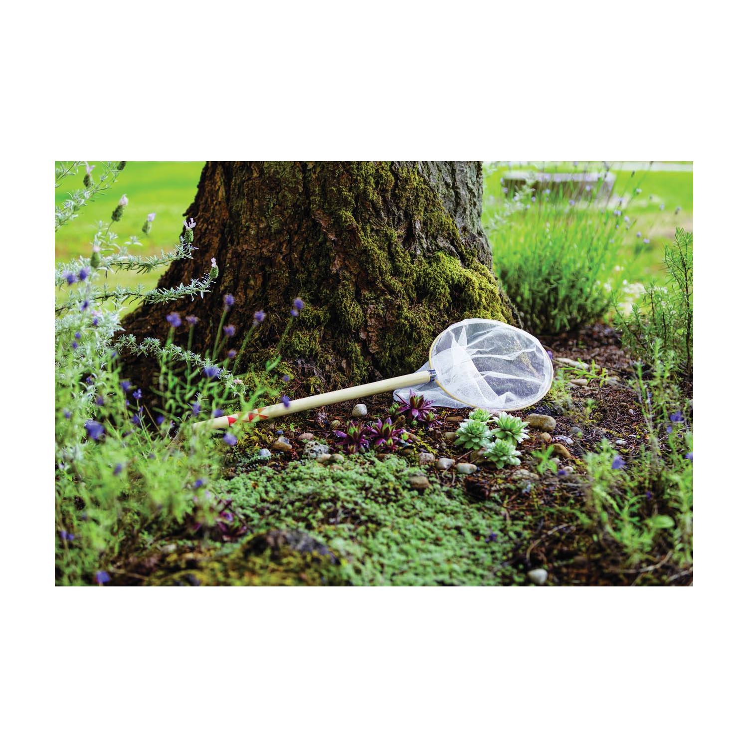 BEETLE & Bee Garden 60195 Butterfly Net - 3