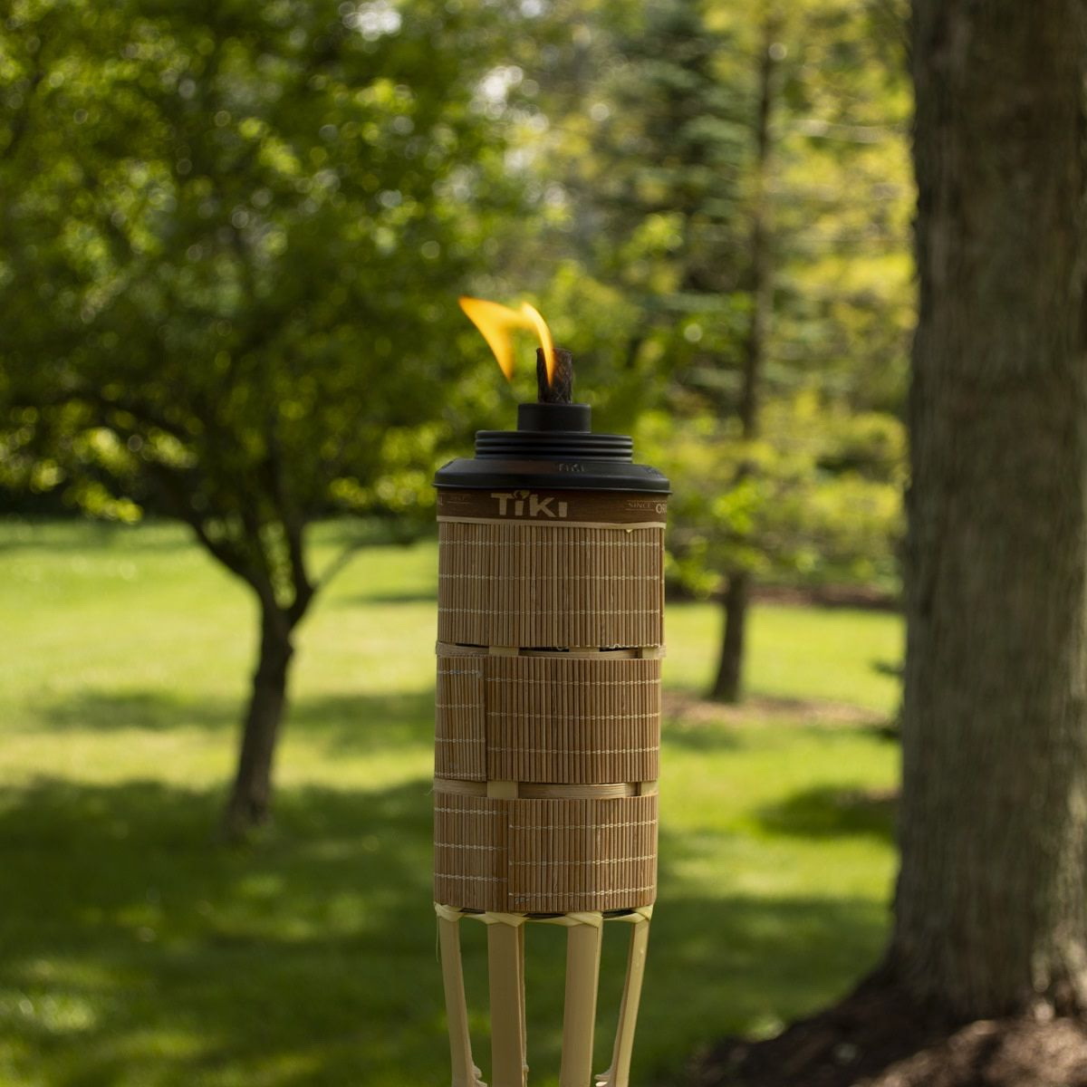 Weather-Resistant Horizon Torch, Tiki, 60 in H, Bamboo, Brown - 4
