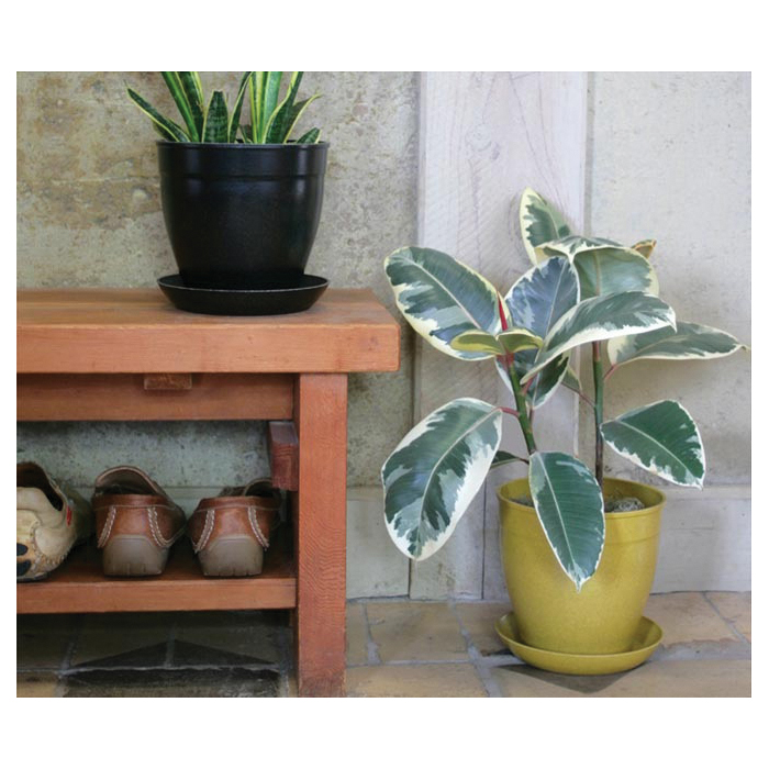Ecoforms Nova Series N8TNG Pot, 9 in H, 9 in W, Rice Hulls and Natural Binding Agents, Tangerine - 1