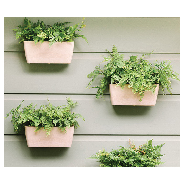 Ecoforms Quadra 6 Series QP6COR Pot, 7-1/2 in H, 6-1/2 in W, 6-1/2 in D, Modern Design, Coral - 2