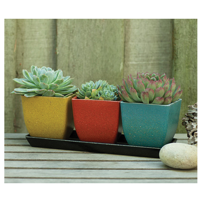 Ecoforms Quadra 6 Series QP6COR Pot, 7-1/2 in H, 6-1/2 in W, 6-1/2 in D, Modern Design, Coral - 3
