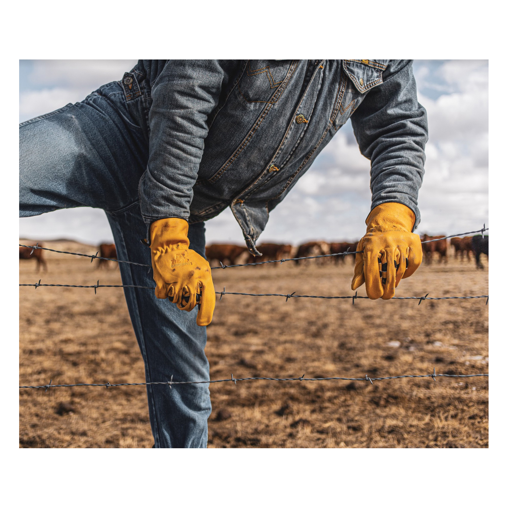Bear Knuckles HD361-YL-XL Driver Gloves, XL, Winged Thumb, Shirred Back Cuff, Cowhide Leather - 5