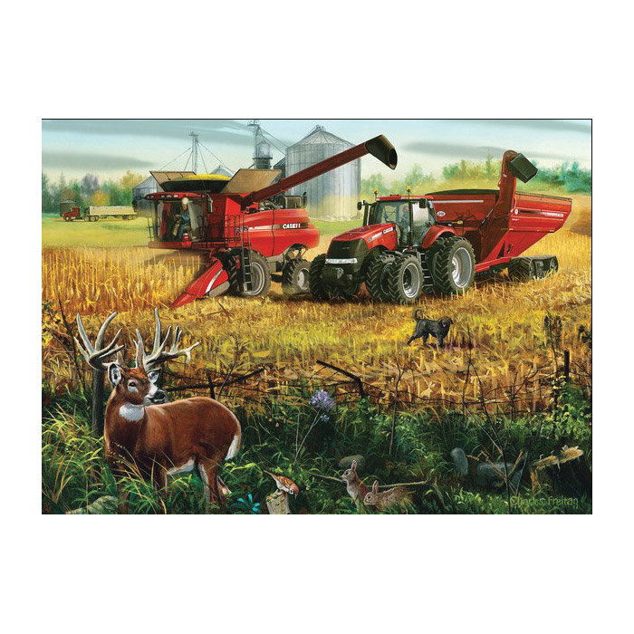 Case Ih 72069