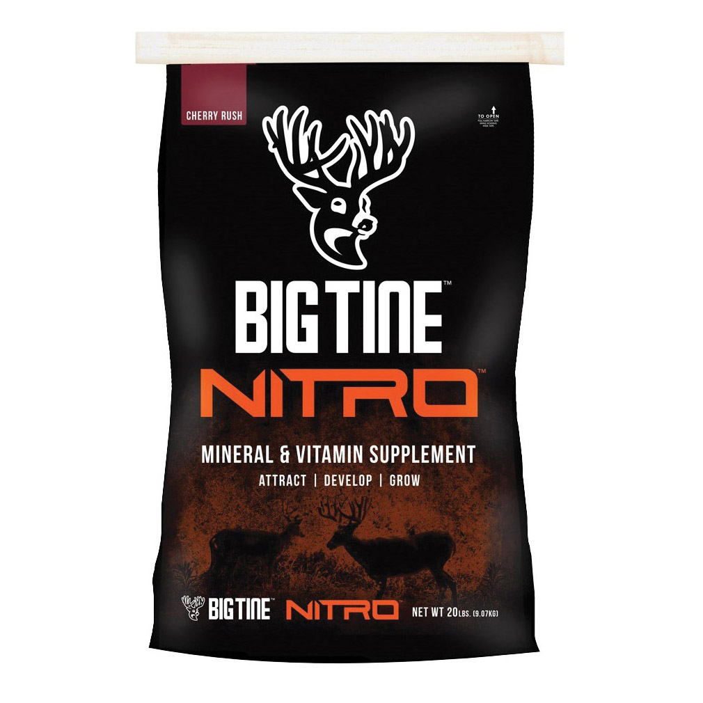 BIG TInE BT33