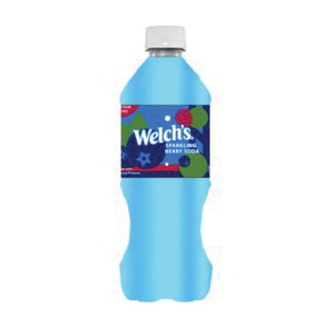 Welch's 303228