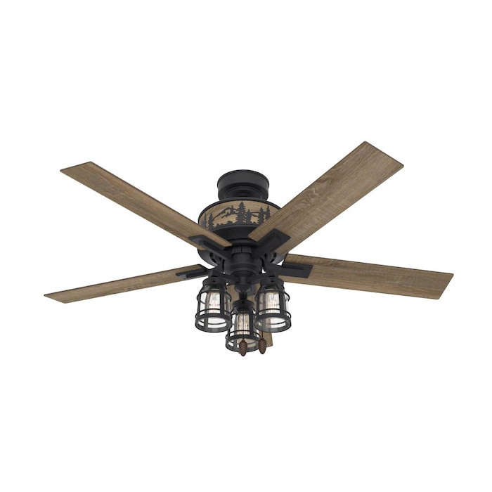 Hunter 50169