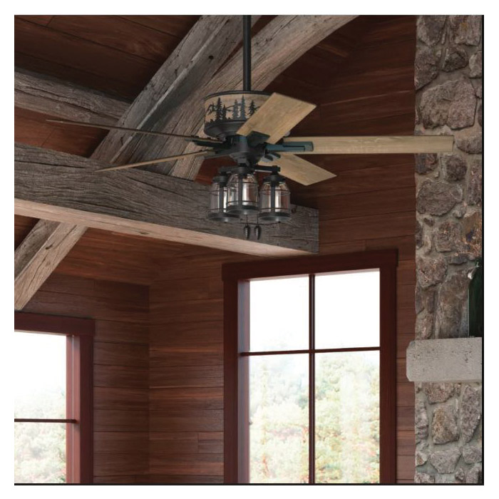 Mt. Vista Ceiling Fan, Hunter, with Remote, 52 in Dia, Natural Iron - 3