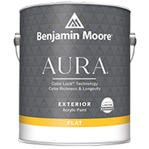Benjamin Moore N629-1X-001