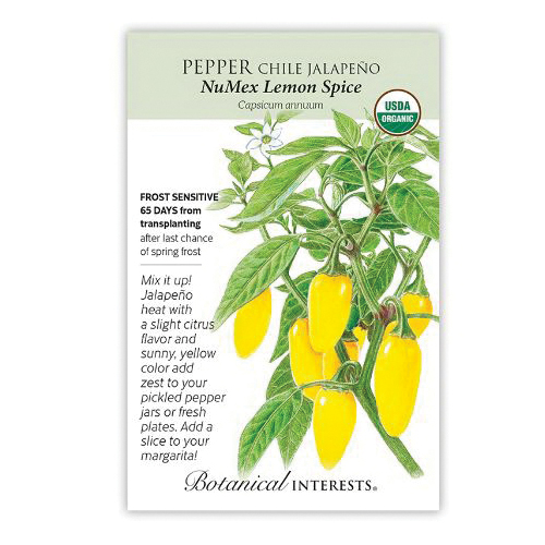 Botanical Interests 3098 NuMex Lemon Spice Jalapeno Chile Pepper Seeds, Capsicum Annuum