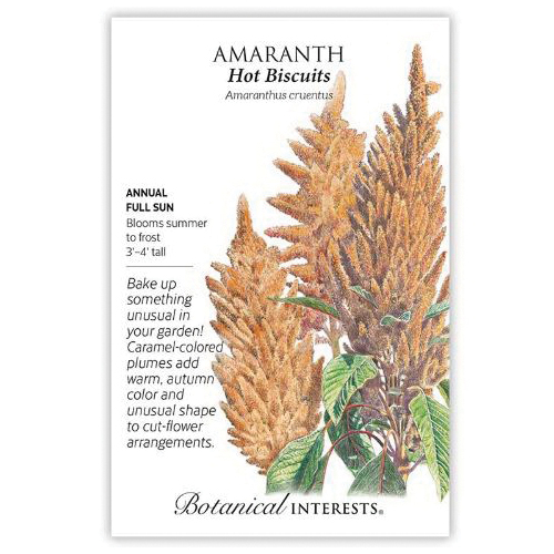 Botanical Interests 1340 Flower Seed, Hot Biscuits Amaranth, Amaranthus Cruentus, Summer to Frost Bloom, Caramel Bloom