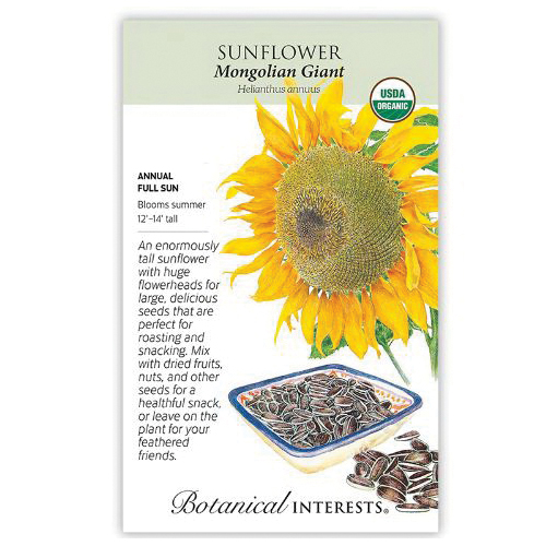 Botanical Interests 2066 Flower Seed, Mongolian Giant Sunflower, Helianthus Annuus, Summer Bloom, Yellow Bloom, 4 g