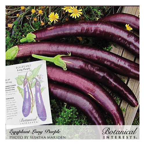 Botanical Interests 3095 Long Purple Heirloom Eggplant Seeds, Solanum Melongena, 300 mg