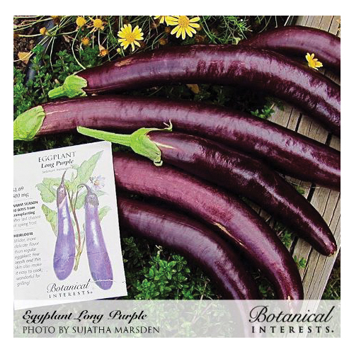 Botanical Interests 3095 Long Purple Heirloom Eggplant Seeds, Solanum Melongena, 300 mg