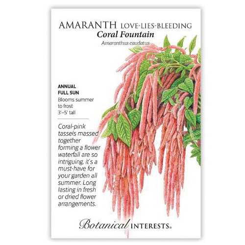 Botanical Interests 1339 Flower Seed, Coral Fountain Love-Lies-Bleeding Amaranth, Amaranthus Caudatus, Coral-Pink Bloom