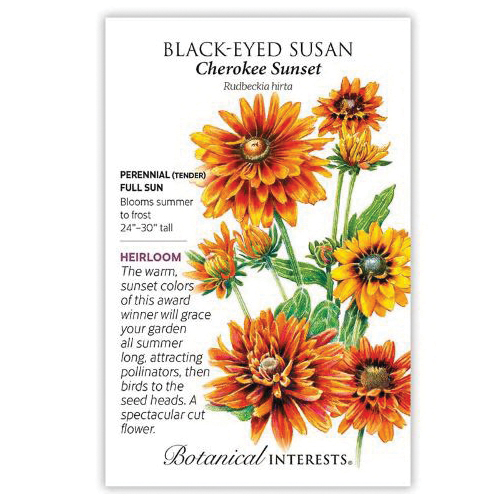 Botanical Interests 1338 Flower Seed, Cherokee Sunset Black-Eyed Susan, Rudbeckia Hirta, Summer to Frost Bloom