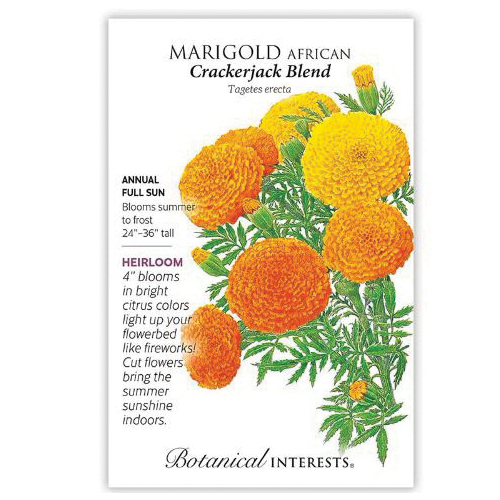 Botanical Interests 2059 Flower Seed, Crackerjack African Marigold, Tagetes Erecta, Summer to Frost Bloom, 500 mg