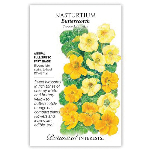 Botanical Interests 1336 Flower Seed, Butterscotch Nasturtium, Tropaeolum Majus, Late Spring to Frost Bloom, 3 g