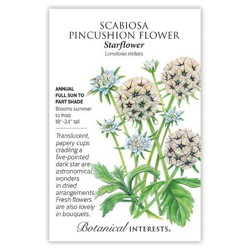 Botanical Interests 1334 Flower Seed, Starflower Scabiosa or Pincushion Flower, Lomelosia Stellata, 1 g