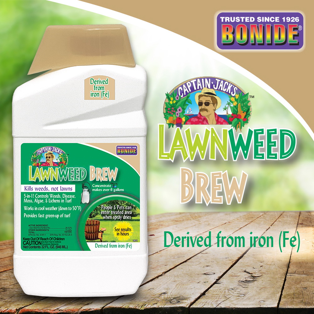 Bonide CAPTAIN JACK'S Series 2613 Lawnweed Brew Concentrate, Liquid, Spray Application, 16 oz