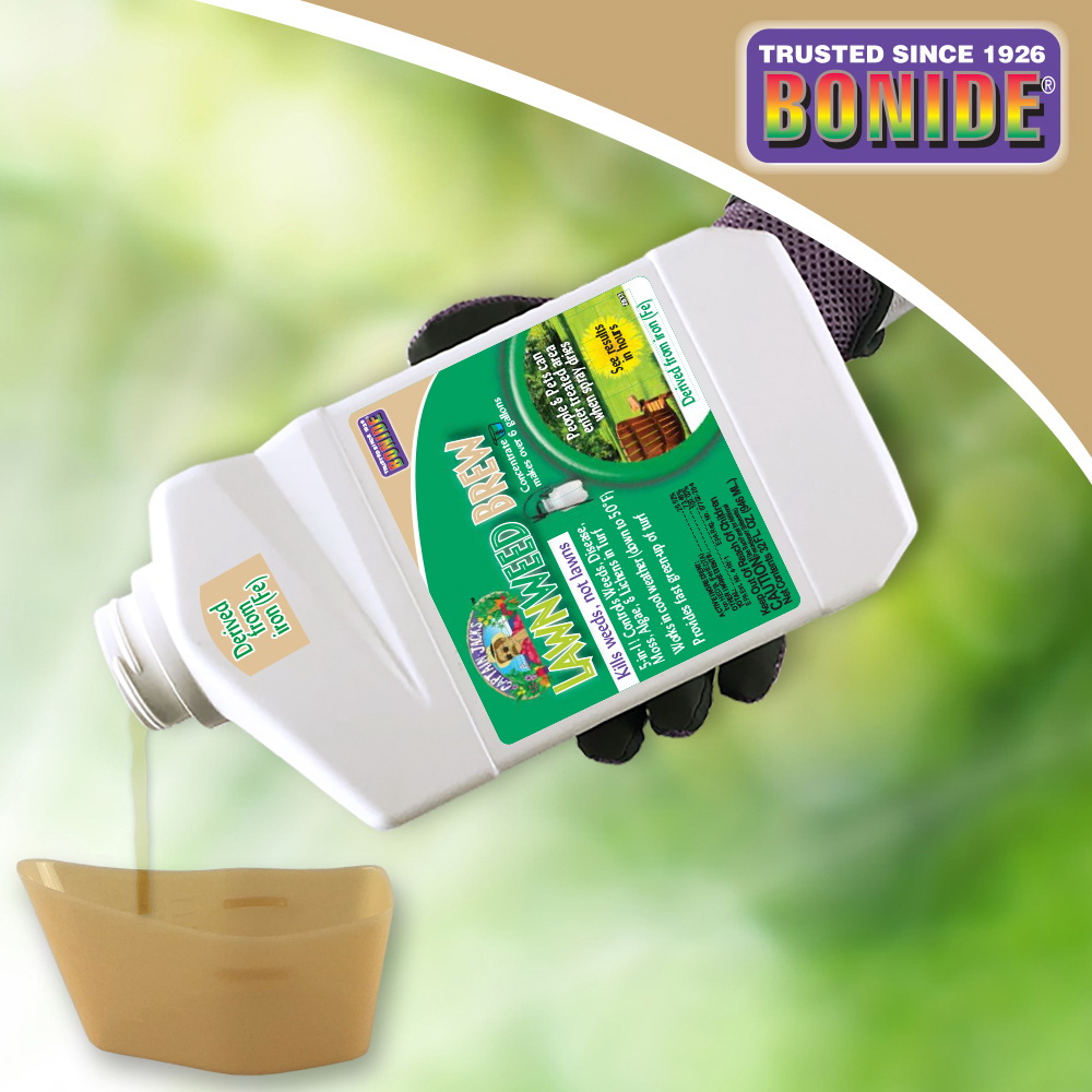 Bonide CAPTAIN JACK'S Series 2613 Lawnweed Brew Concentrate, Liquid, Spray Application, 16 oz