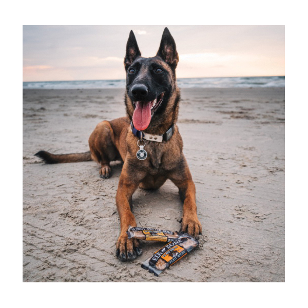 The Wild Bone Co 1802 Dog Biscuit, Ham - 2