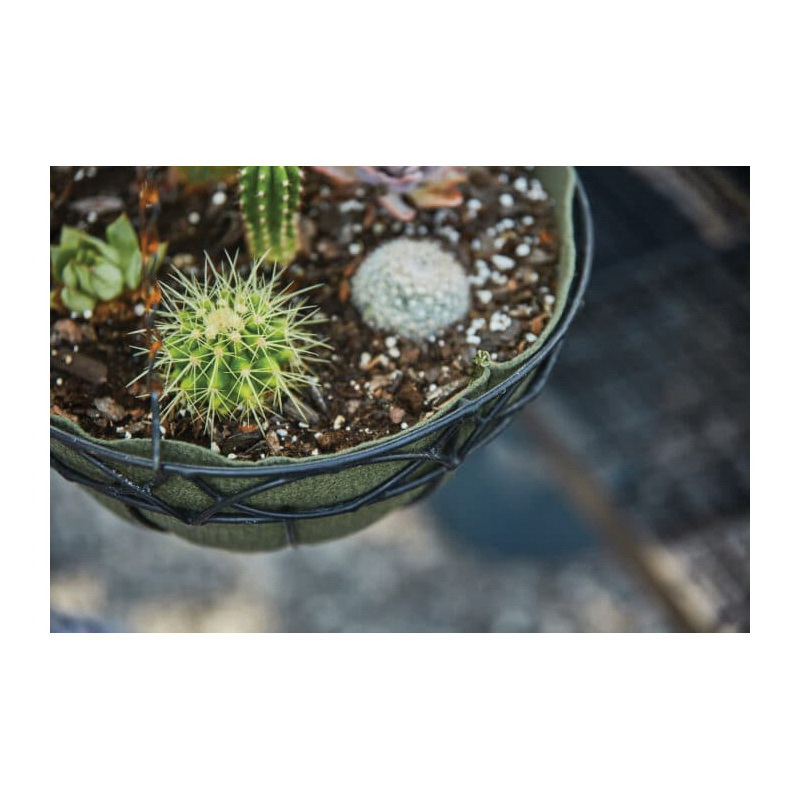 Smart Pot 25314 NoCoco Basket Liner, Forest Green - 2