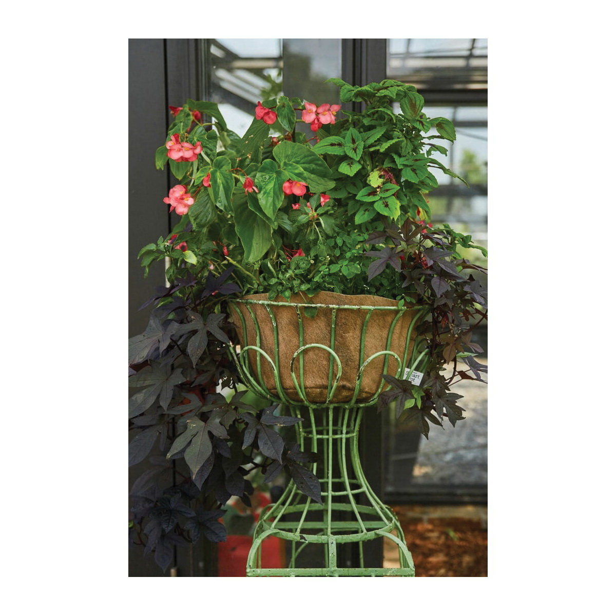 Smart Pot 25314 NoCoco Basket Liner, Forest Green - 3