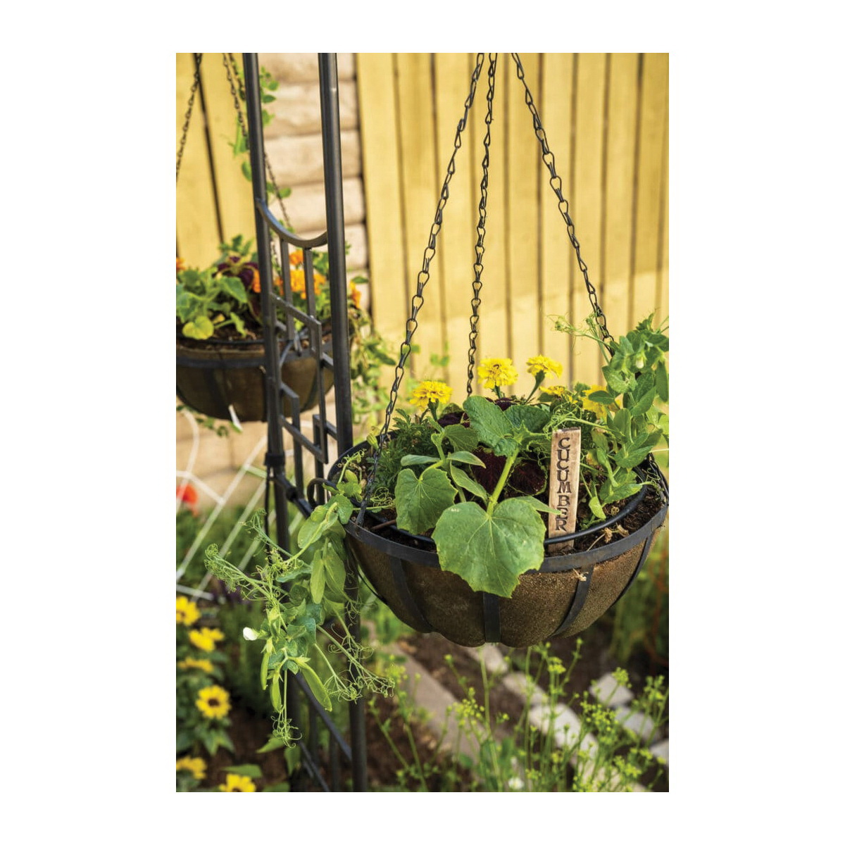 Smart Pot 25314 NoCoco Basket Liner, Forest Green - 5