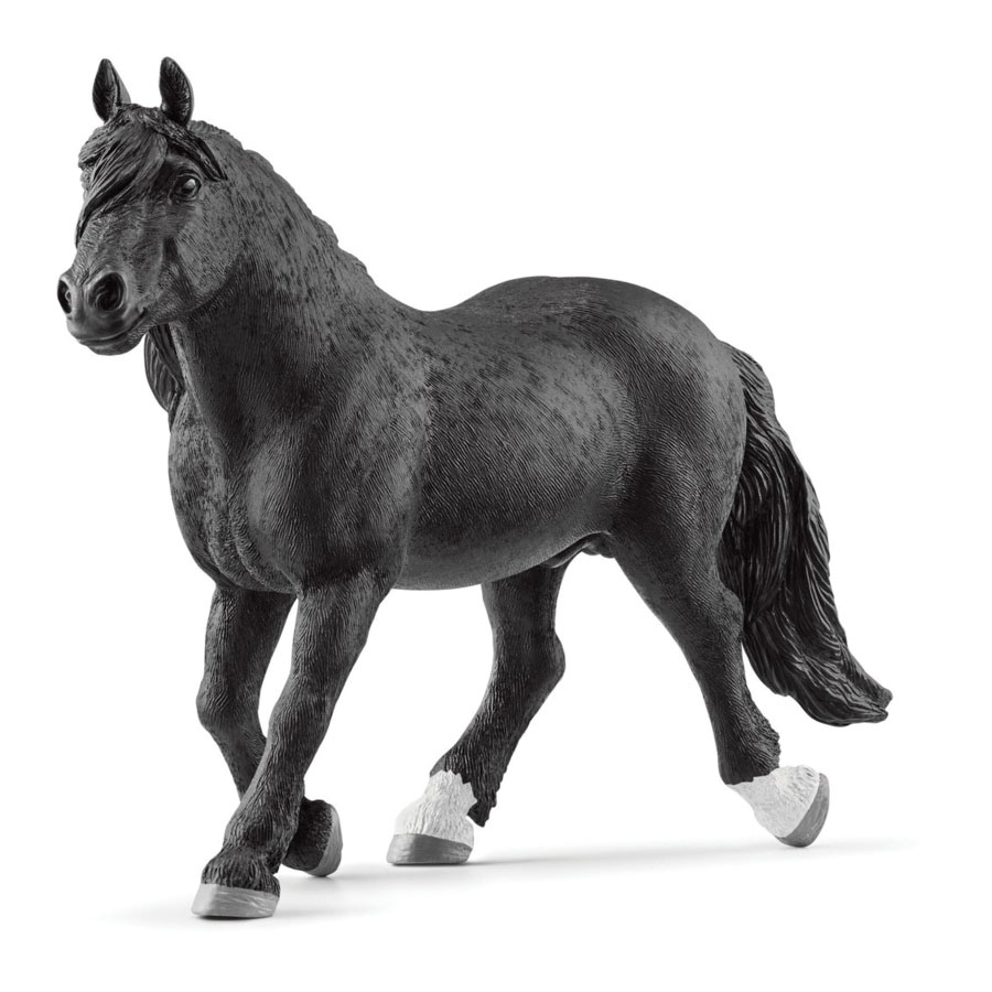 Schleich-s 13958