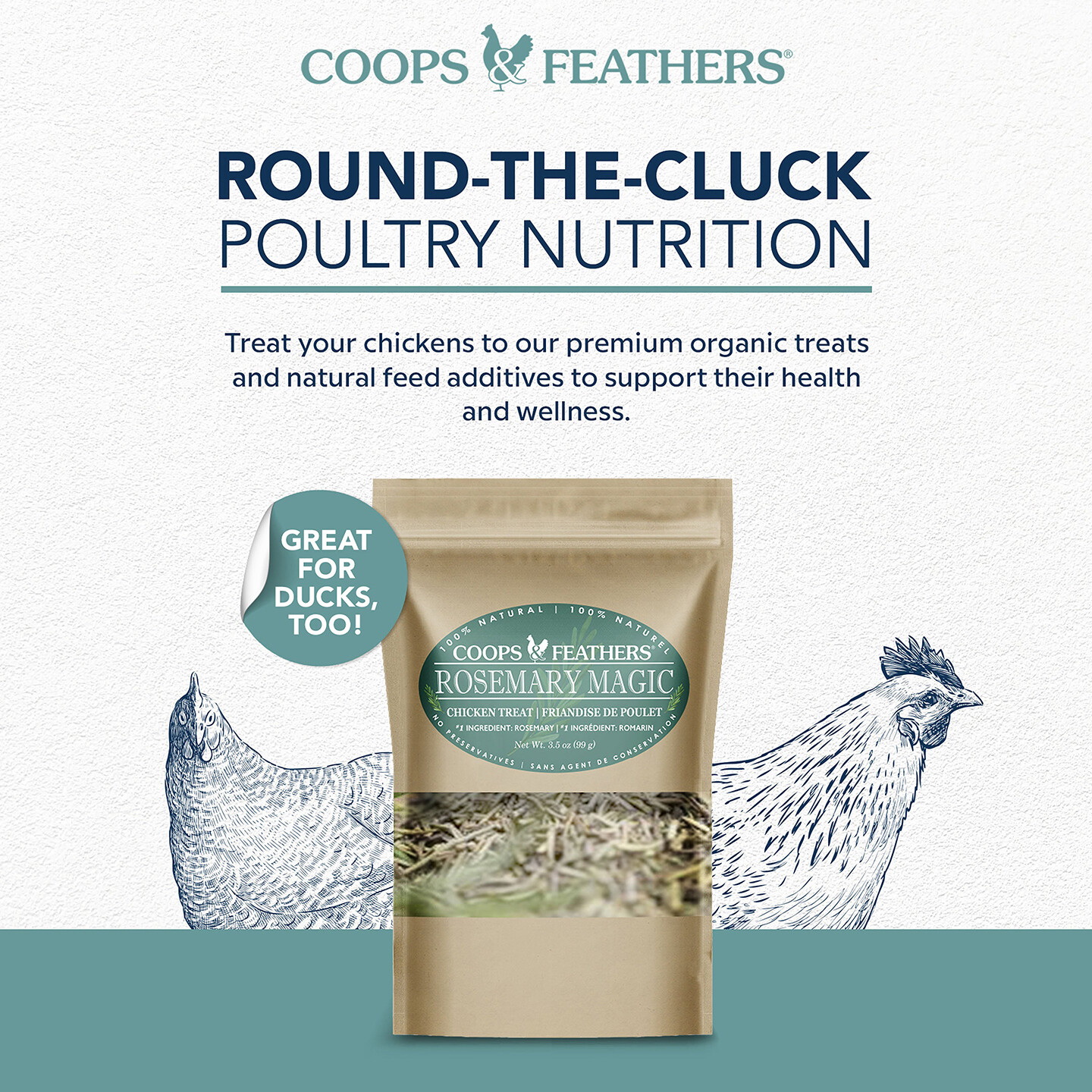 Coops & Feathers Healthy Hen 650-20 Poultry Feed Additive, 3.5 oz, Bag