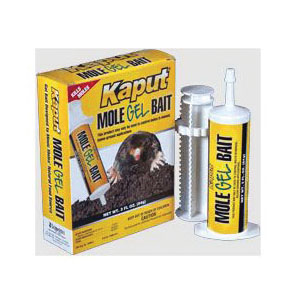 Kaput 021101